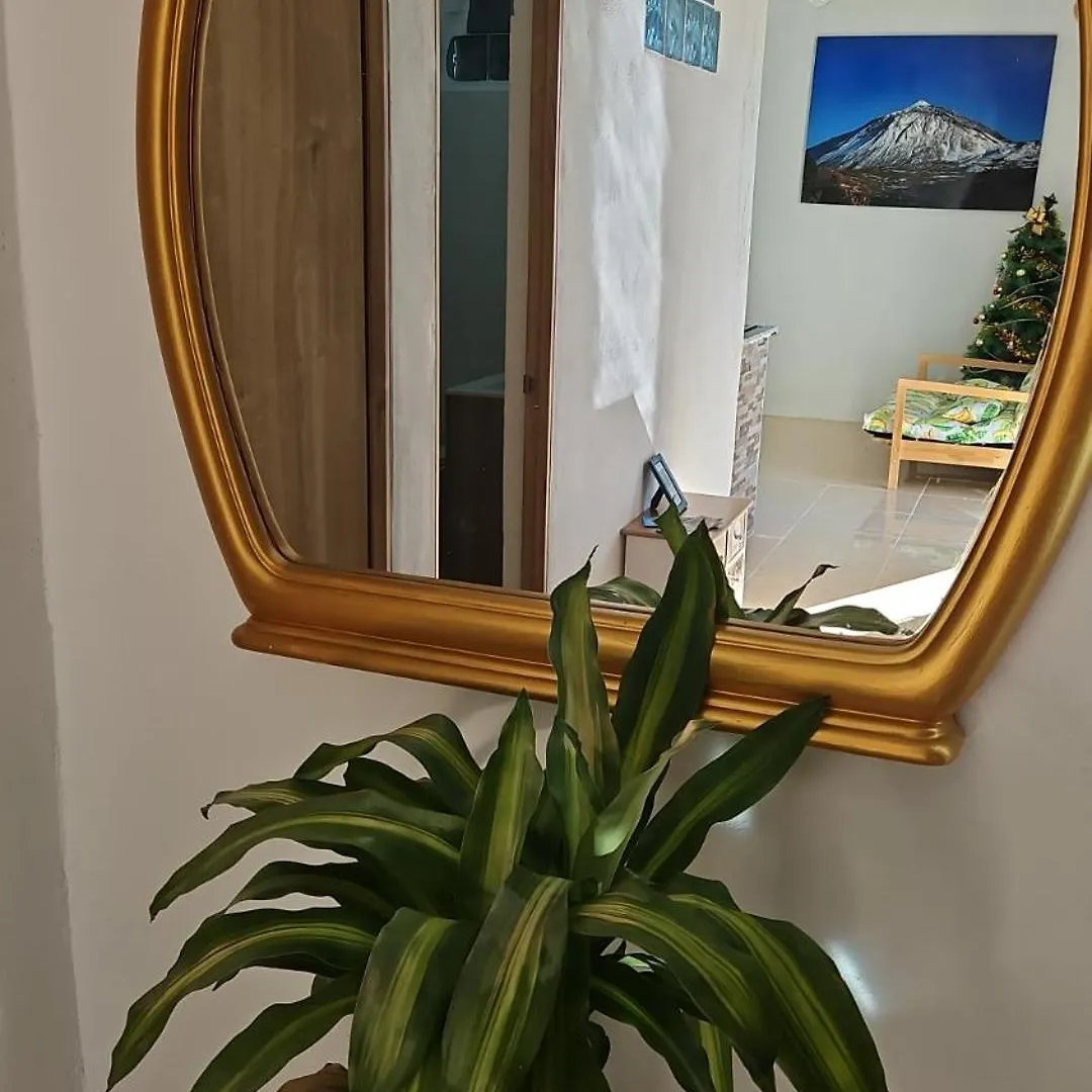 Casita Amada Apartment Santa Cruz de Tenerife 0*,  Spain